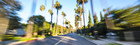 L.A. road with palm trees 